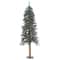5ft. Pre-Lit Natural Bark Alpine Artificial Christmas Tree, Warm White LED Lights